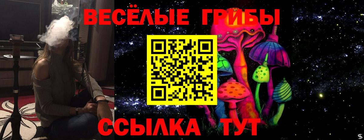 Кандалакша  Псилоцибиновые грибы Psilocybe  Галлюциногенные грибы прущие грибы  Вход с VPN 